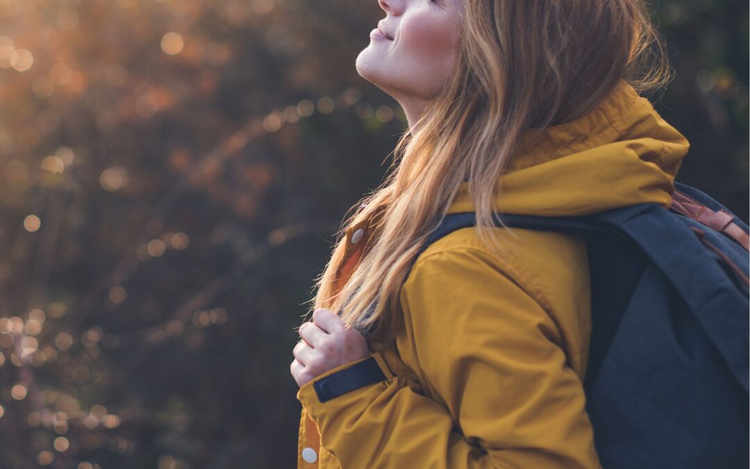 First Morning at Bentsen Palm